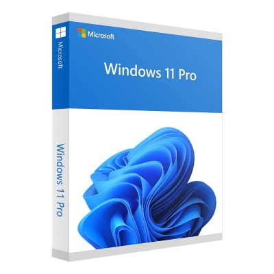 Windows 11 Professional - 1User Perpetua